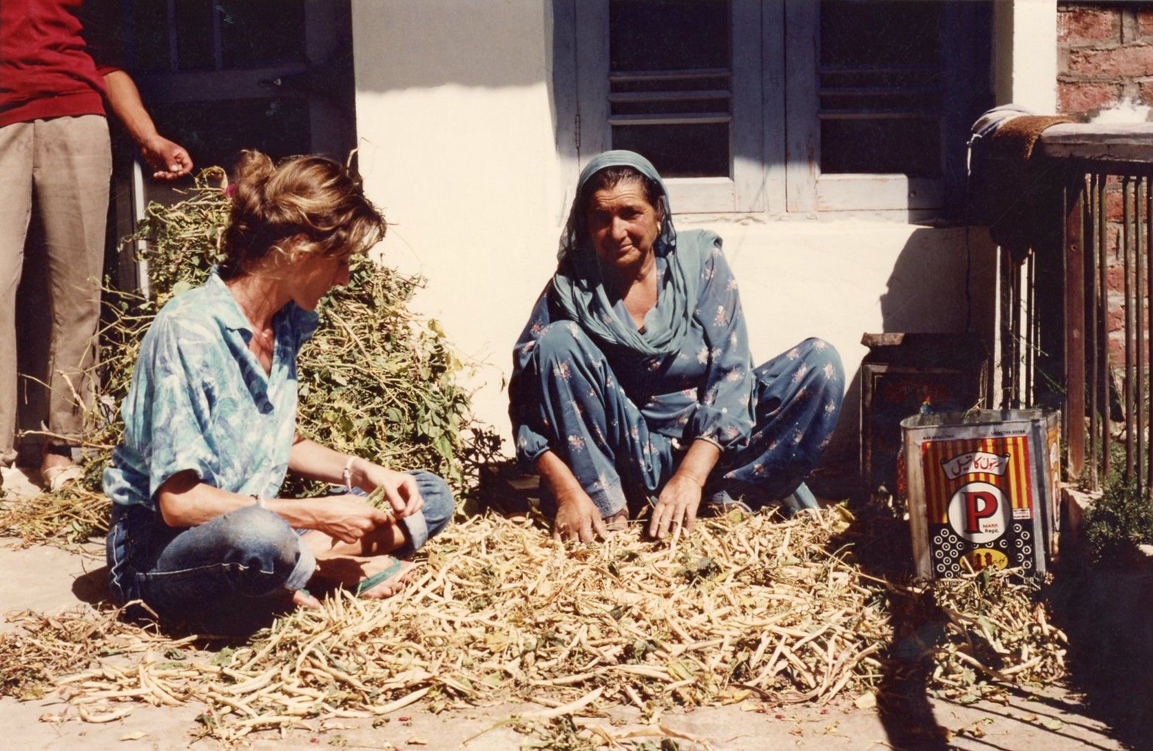 Bibiji shelling beans in the courtyard, Kashmir